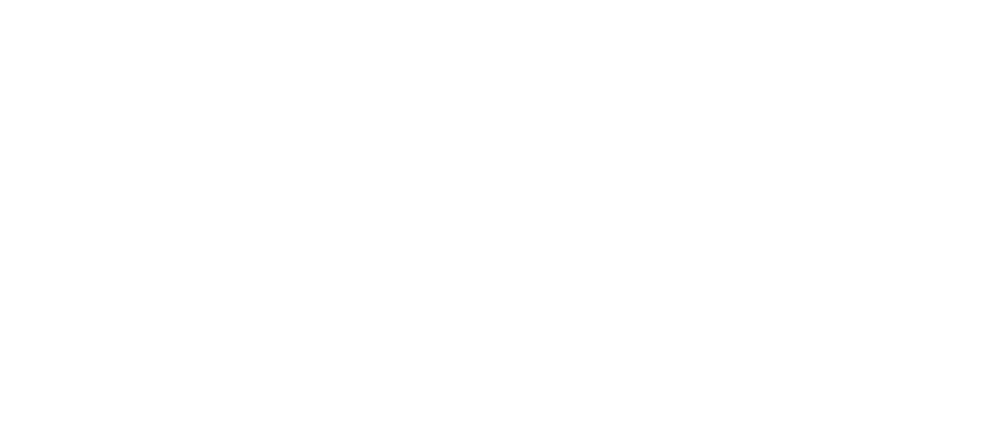 HN ROBOTICS CI